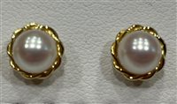 Orecchini Salvini Donna in Oro giallo Perla N72341P - N72341P